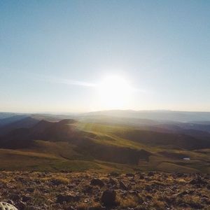 Meet your Posher, Gracie